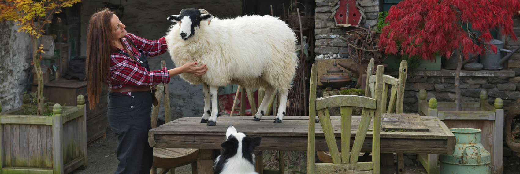 contact shepherdess