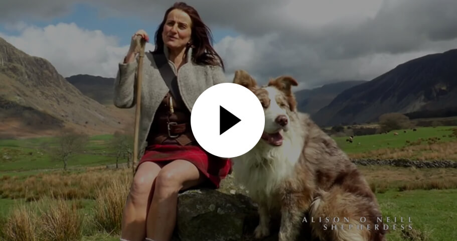 watch shepherdess