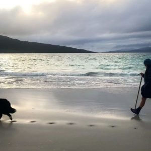 Harris Holiday