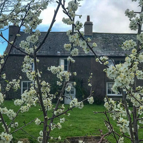 spring