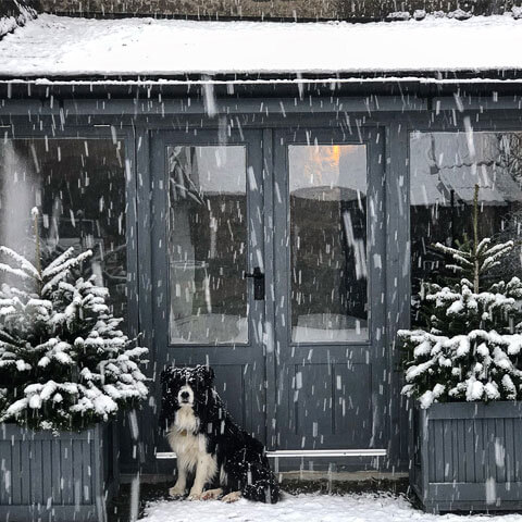 winter