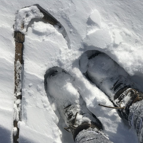 winter