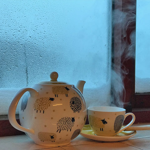 winter