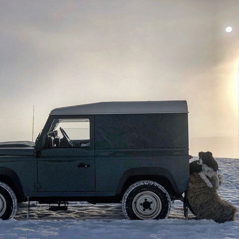 winter