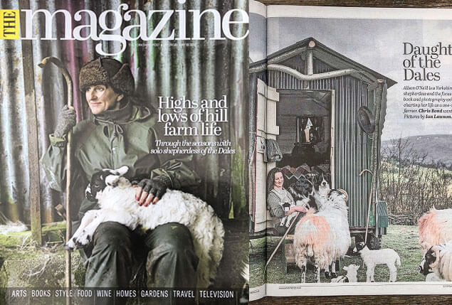 The Magazine