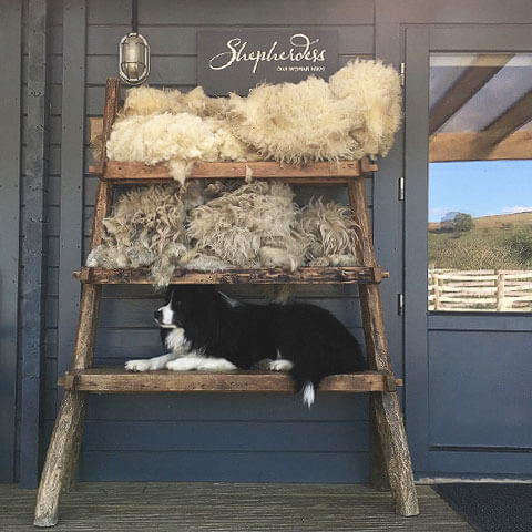visit the shepherdess