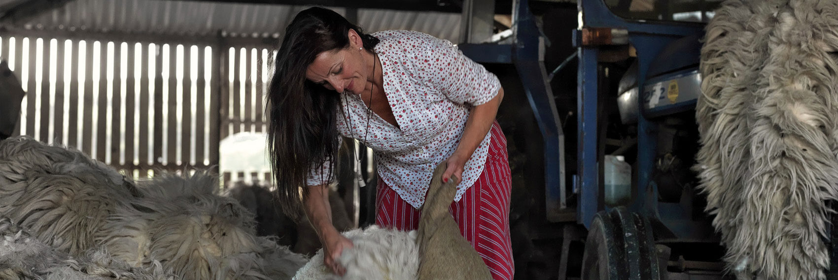 wool_footer wool