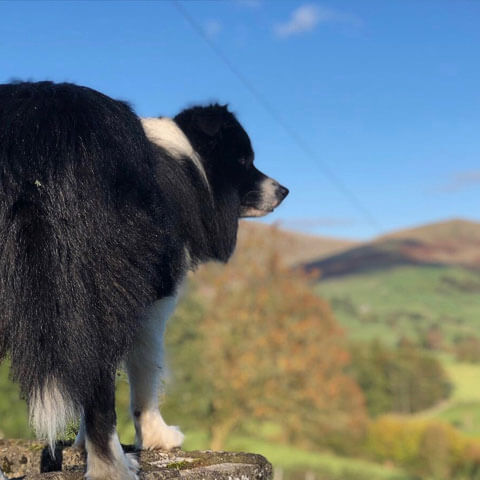 yorkshire dales