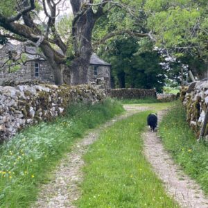 Yorkshire Dales