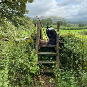 Yorkshire Dales