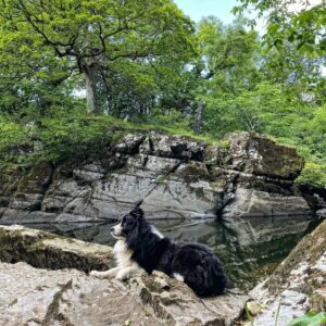 Yorkshire Dales