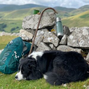 Yorkshire Dales