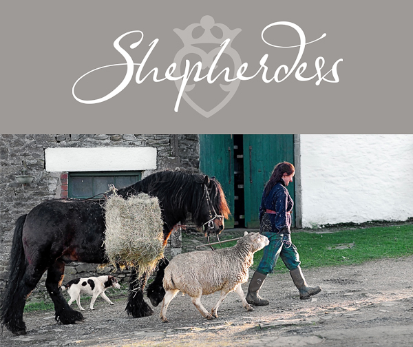 shepherdess newsletter