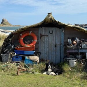 Northumberland - The Whittling House Alnmouth