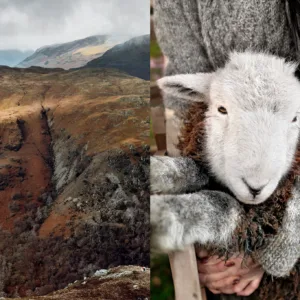 Shepherdess one woman farm book