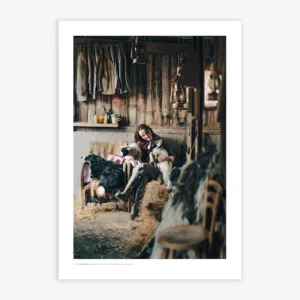 Shepherdess one woman farm book